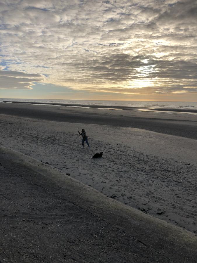 Villa Mowgli De Panne Esterno foto